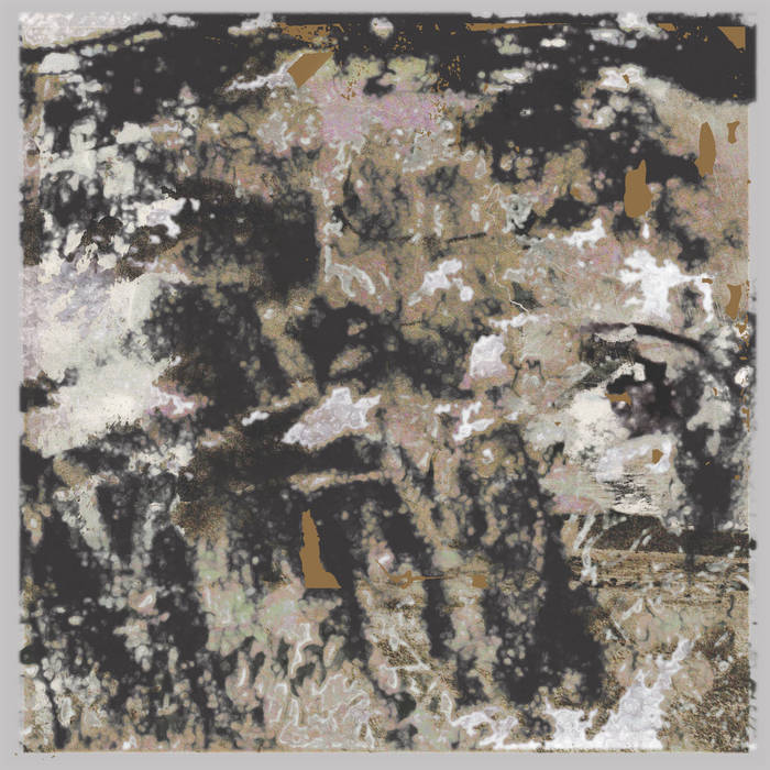 Loraine James - Building Something Beautiful For Me (Clear Vinyl)