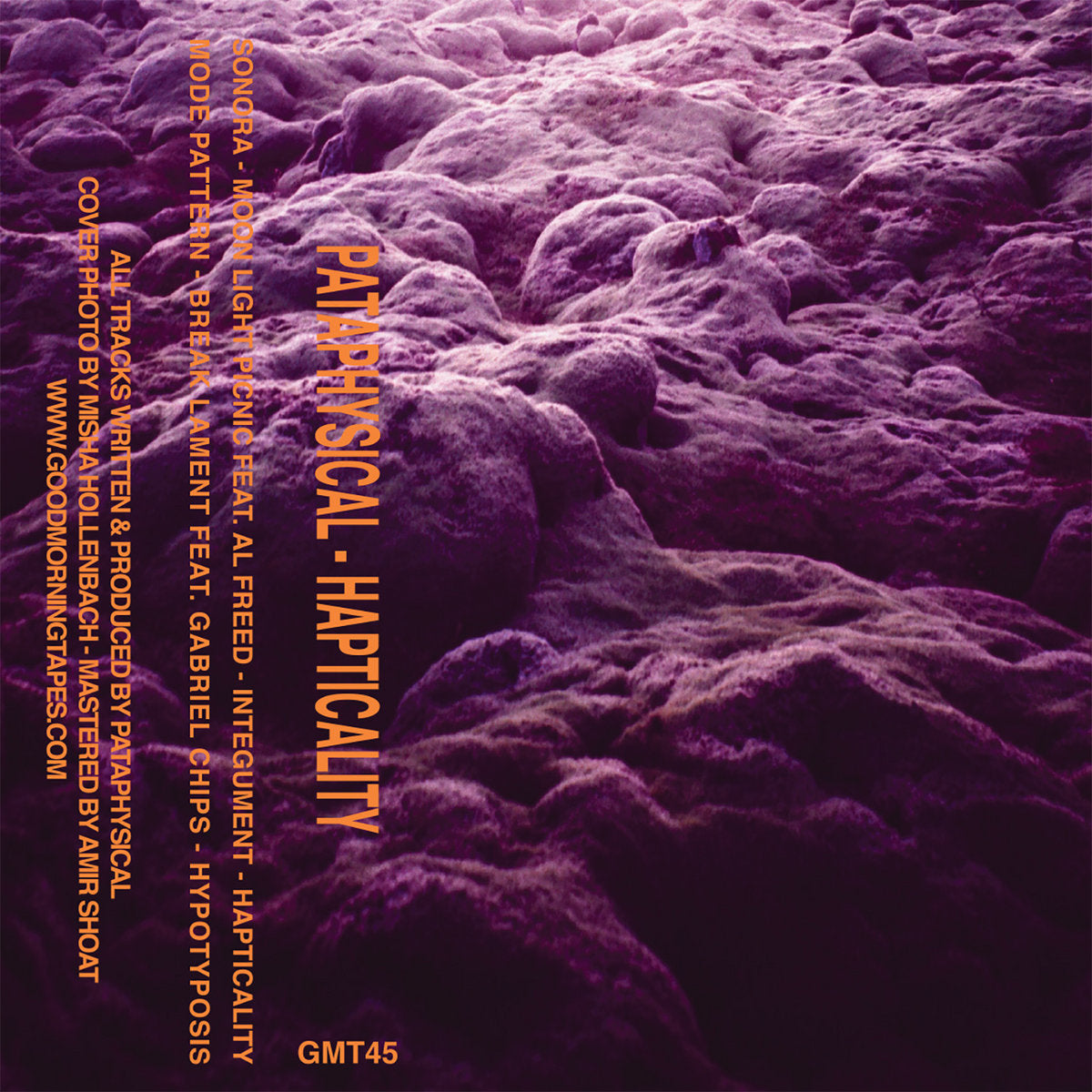 Pataphysical - Hapticality