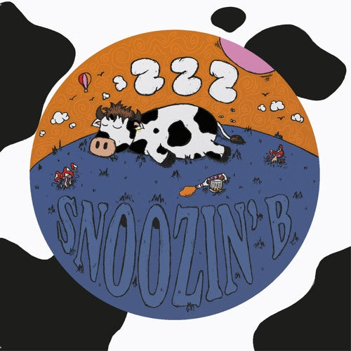Snoozin B - ZZZ