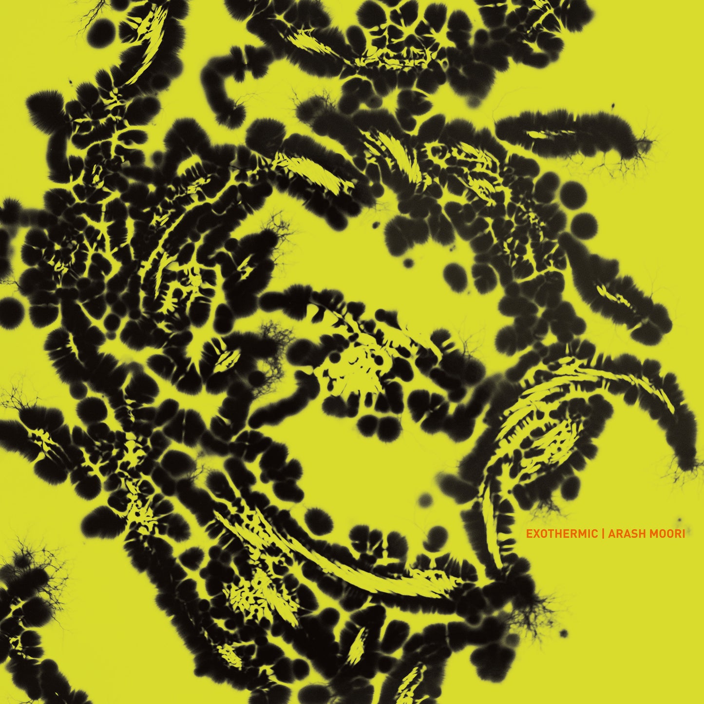 Arash Moori - Exothermic