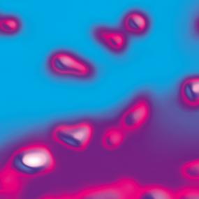 Nic Arizona Pres. Anjuna Niv - Doll Pin