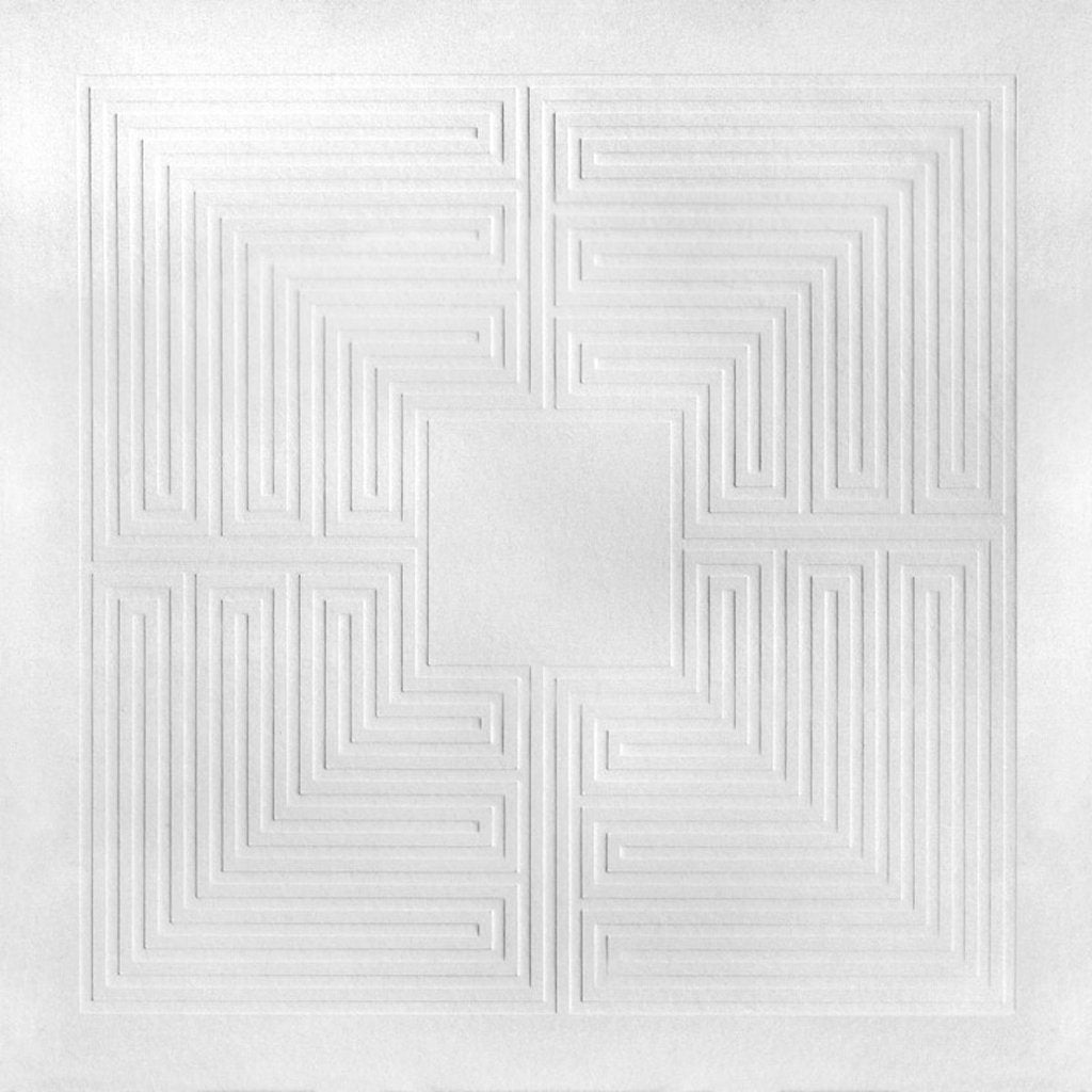 These New Puritans - Hidden