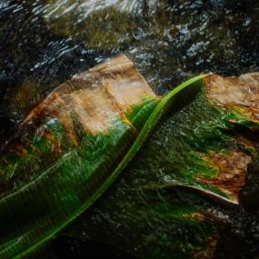 Best Available Technology - Untitled (LP)