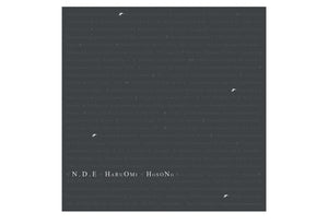 Haruomi Hosono - N.D.E.