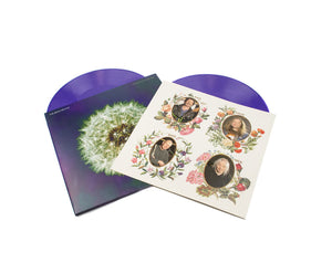Bevis Frond - Focus On Nature (Purple Vinyl)
