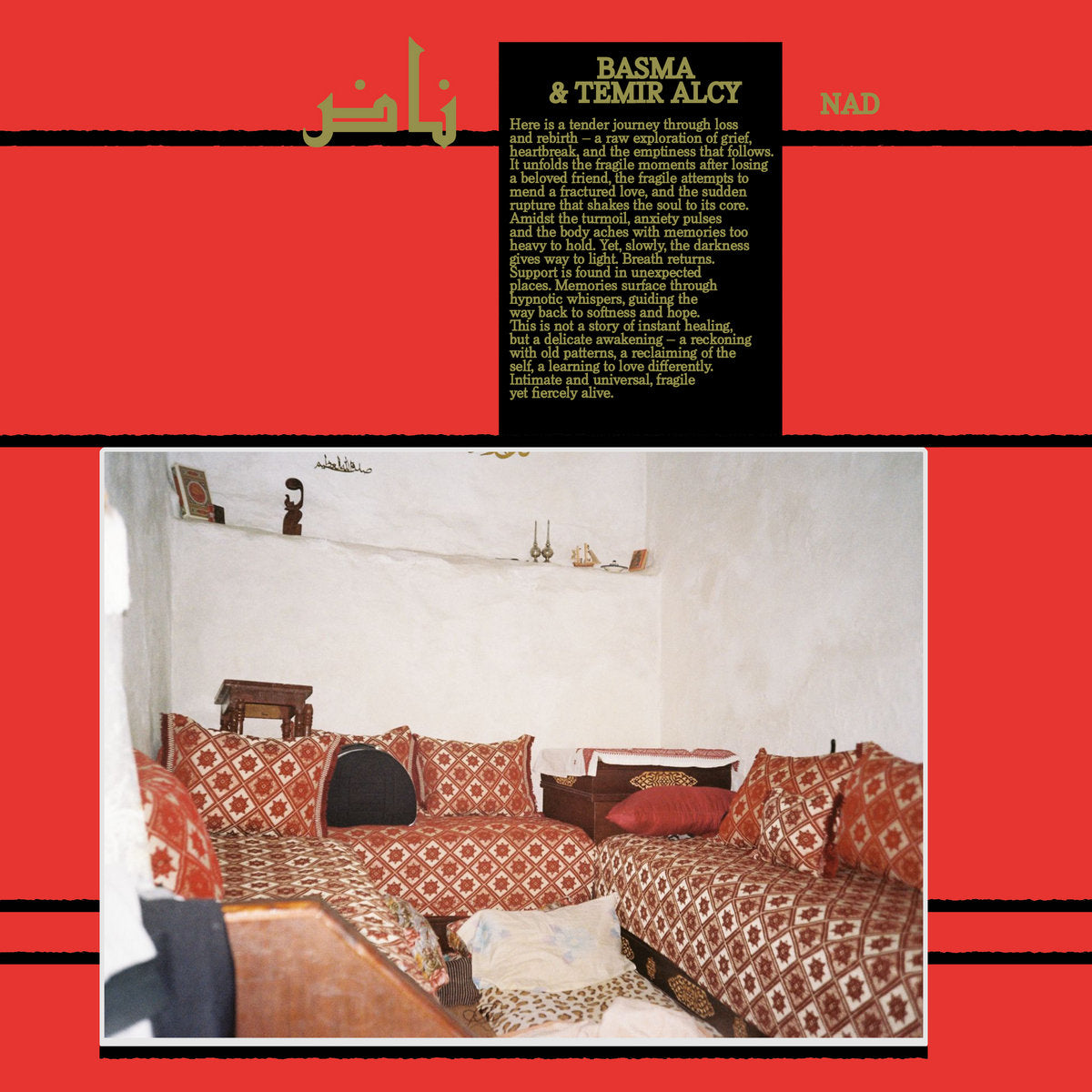 Basma & Temir Alcy - NAD - NAD (LP)
