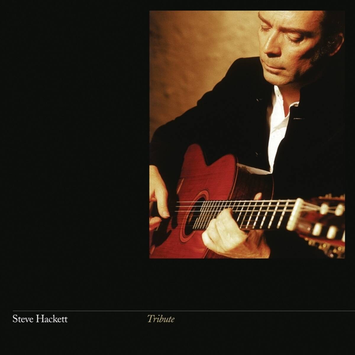 Steve Hackett - Tribute (LP)