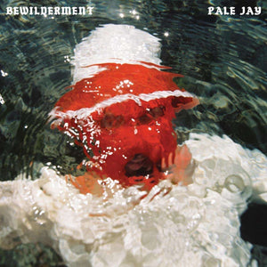 Pale Jay - Bewilderment (Opaque Red) (Red Vinyl)