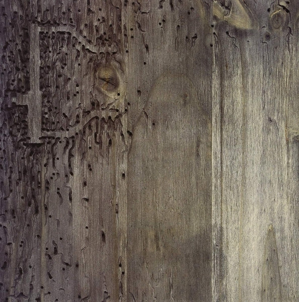 DJ Signify - Sleep No More