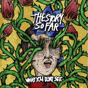 Story So Far - What You Don't See (Coloured LP)