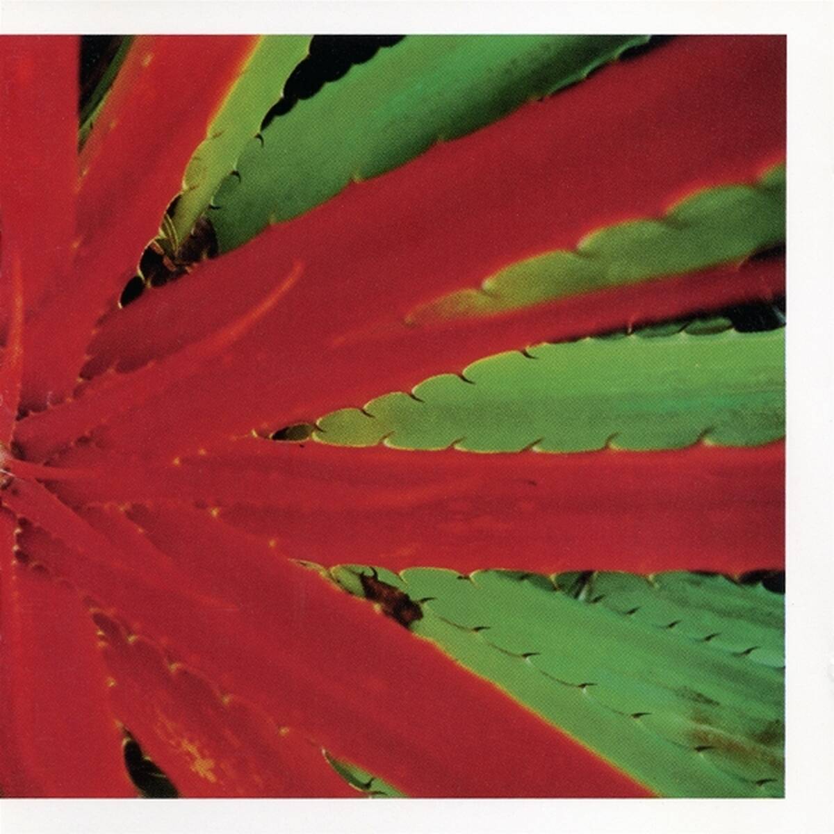 Jejune - This Afternoon Malady (LP)