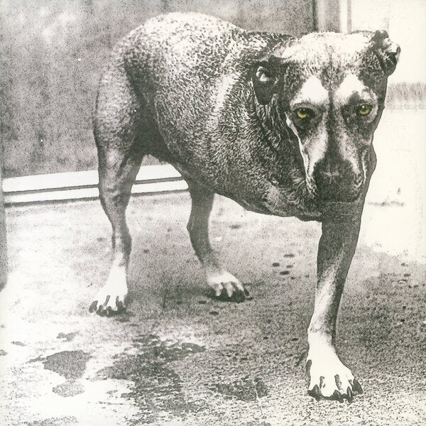 Alice In Chains - Alice In Chains (LP)