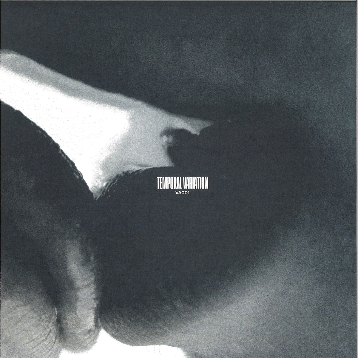 Various Artists - Temporal Variation VA001