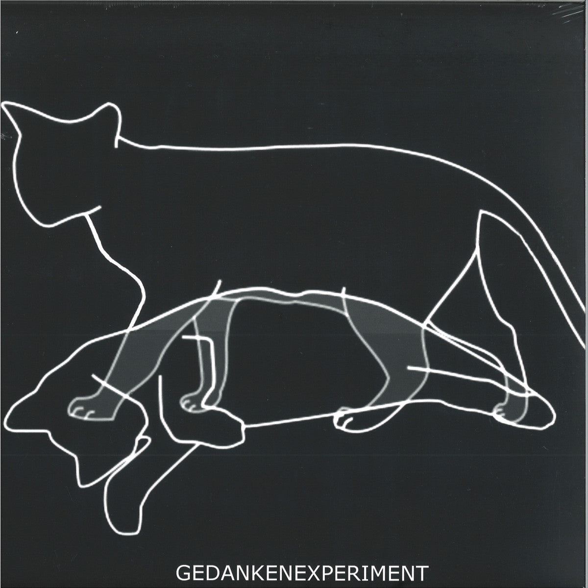 Gedankenexperiment - Experiment Defined