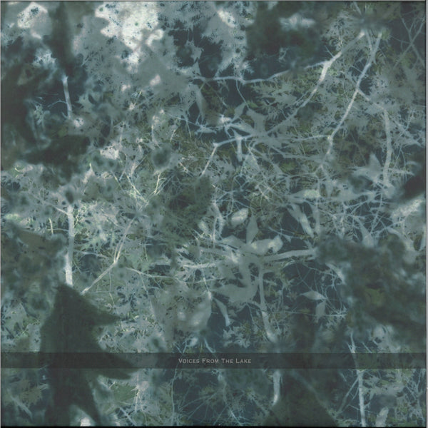 Voices From The Lake - Voices From The Lake – 3345 Record Store