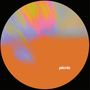 Various Artists - PICNIC006 EP