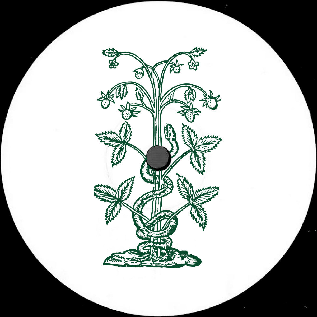 Shcuro & Vil - Repercussions Part 1 (12")