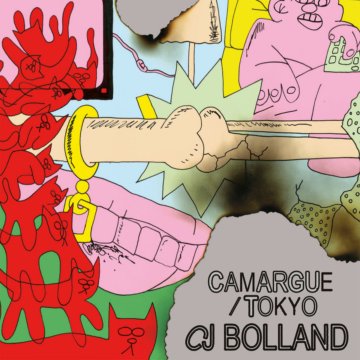 Cj Bolland - Camargue / Tokyo (12")