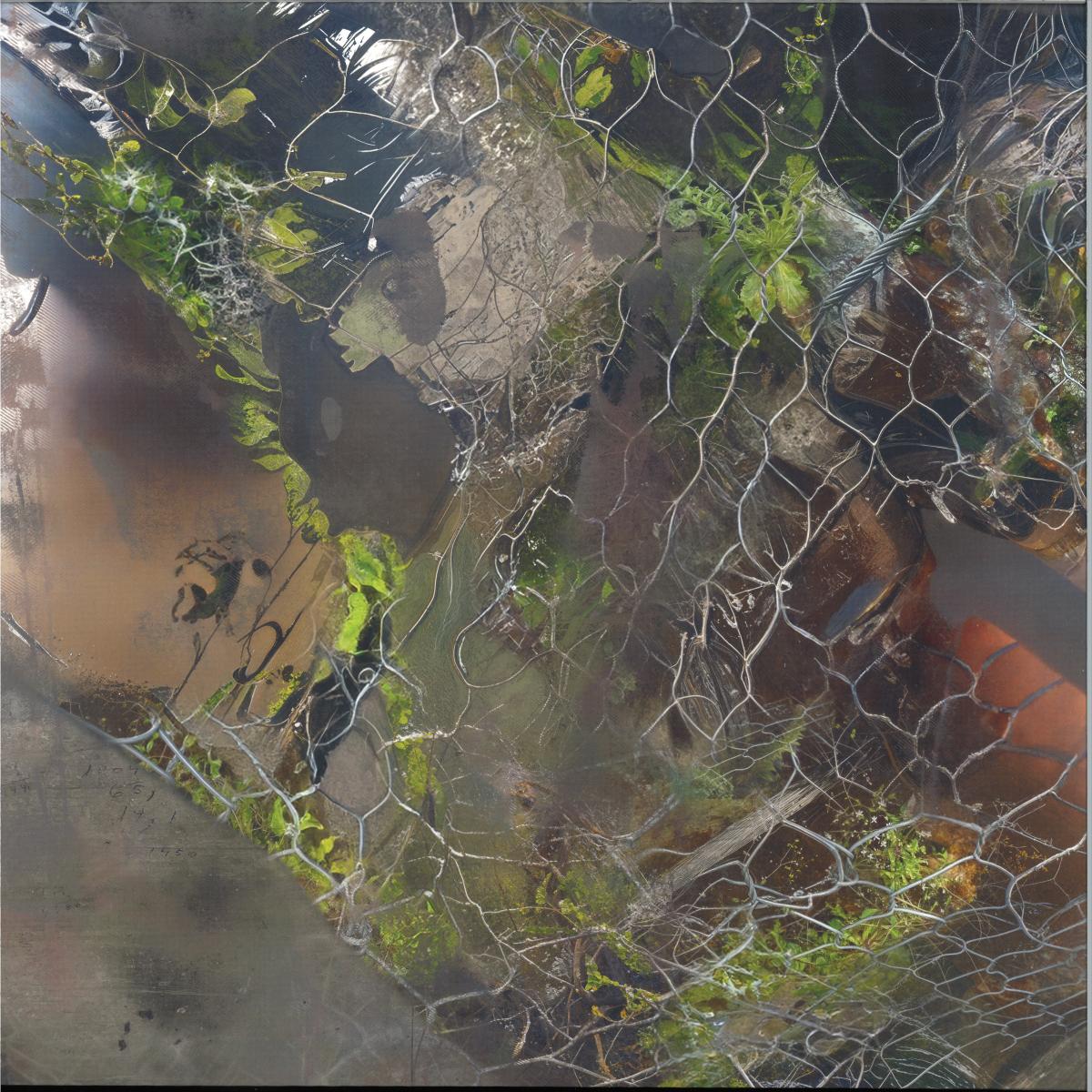 Aedis - Saense (12")