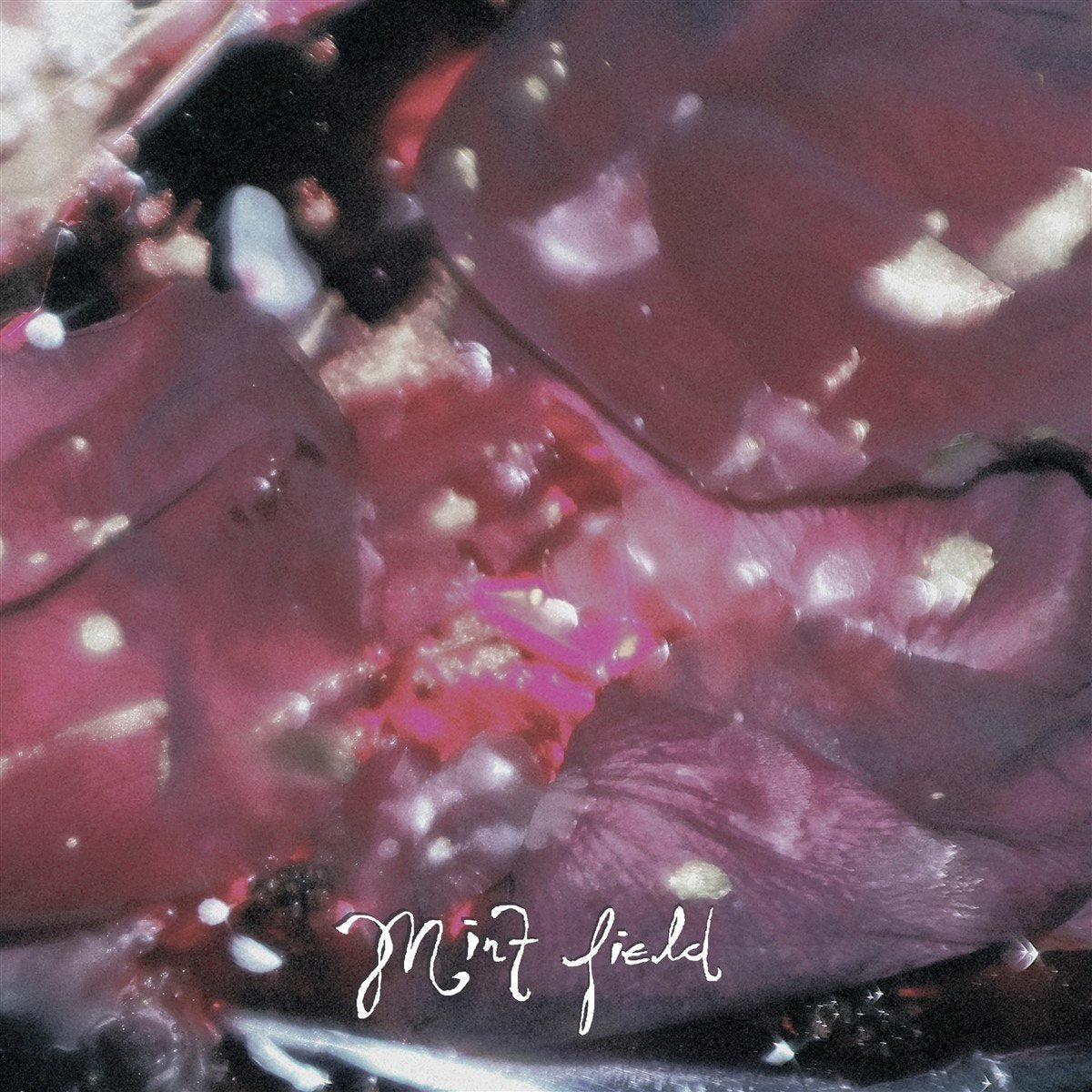 Mint Field - Aprender A Ser (Fruit Punch LP)