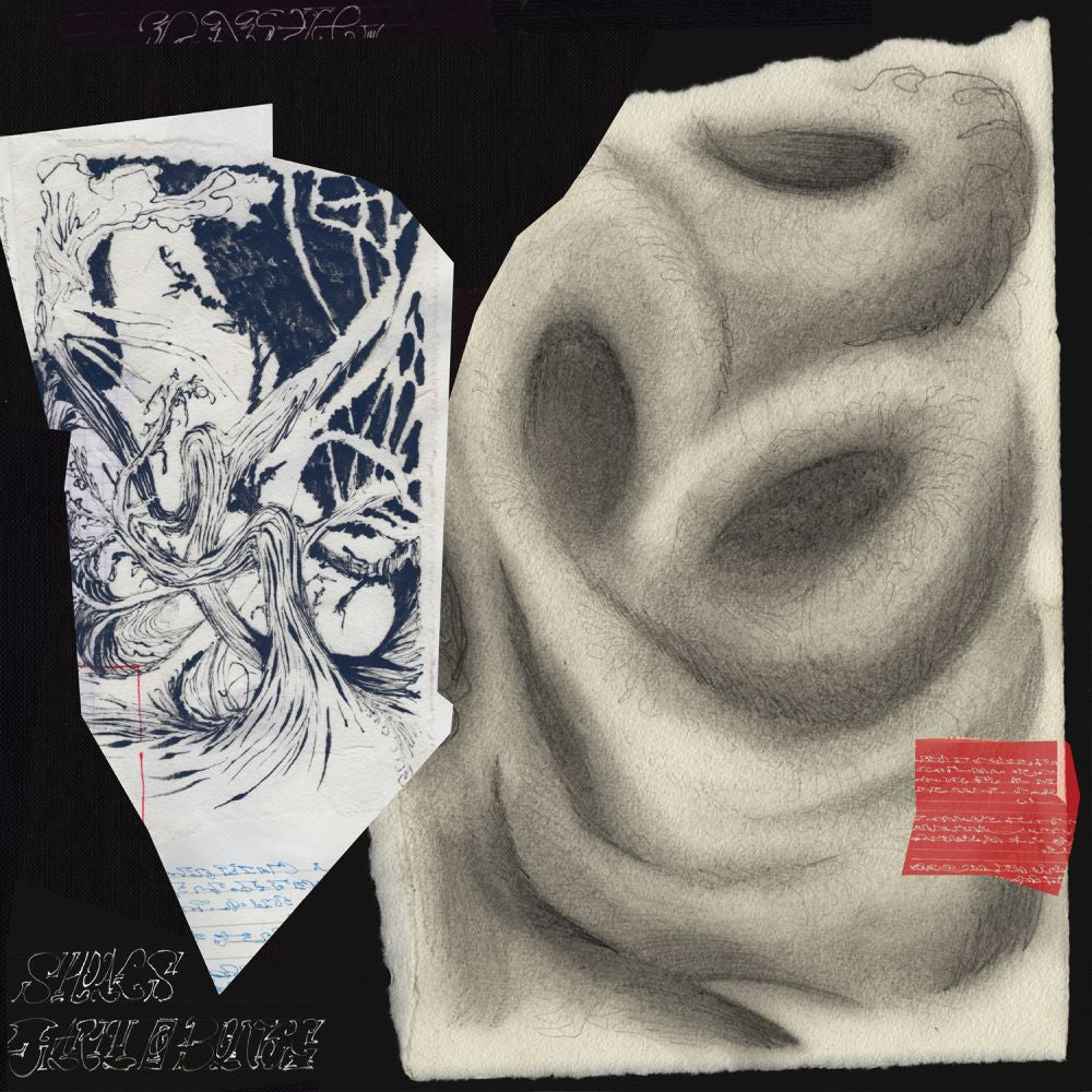 Earth and Bones - Shoals (LP)