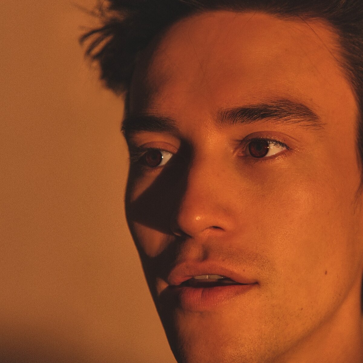 Jacob Collier - The Light For Days (LP)