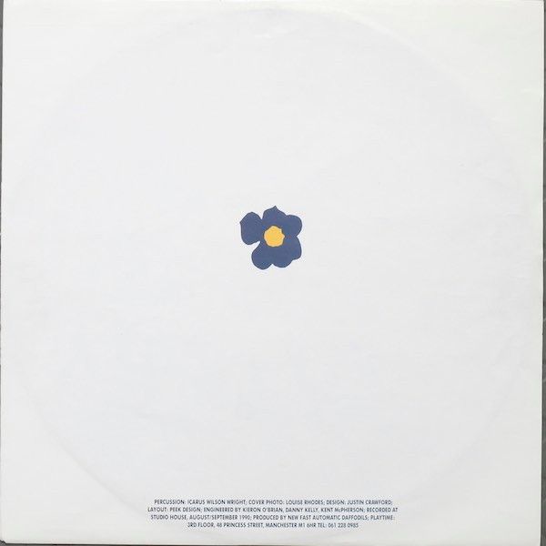 USED - New Fast Automatic Daffodils - Pigeonhole