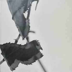 USED - Kara-Lis Coverdale - Grafts