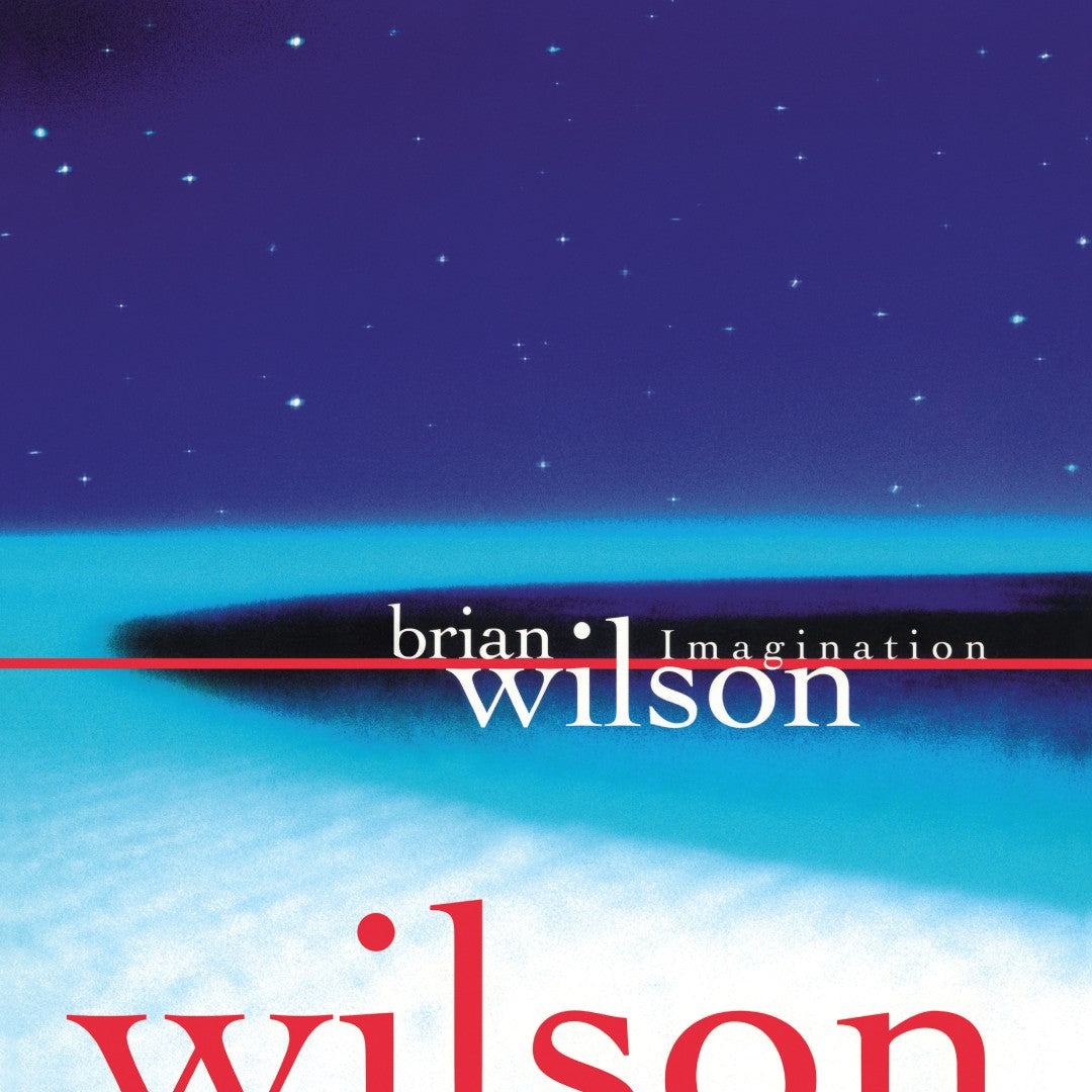 Brian Wilson - Imagination (140g Black vinyl LP)