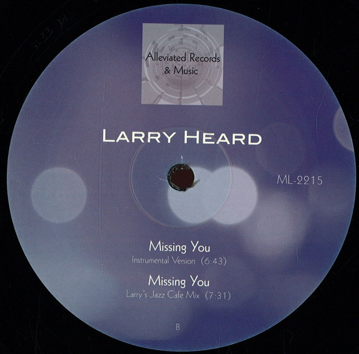 Larry Heard - Missing You (12")