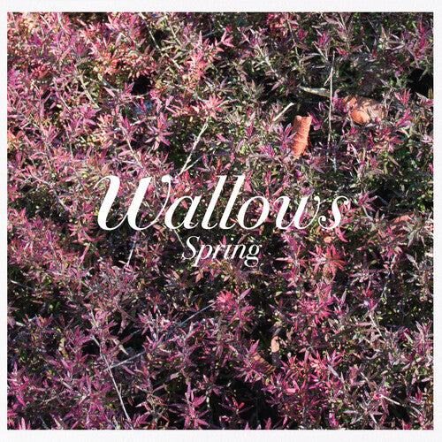 Wallows - Spring (CD)