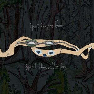Animal Collective - Spirit They're Gone, Spirit They've Vanished (Green LP)