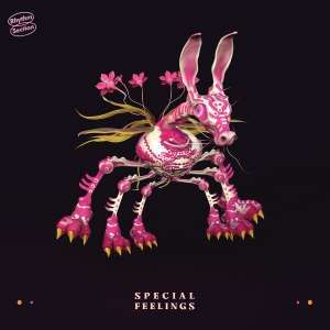 Special Feelings - Special Feelings (LP)
