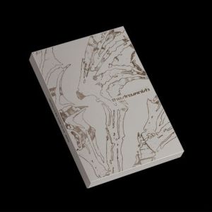 Enhypen - The Sin: Vanish (CD)