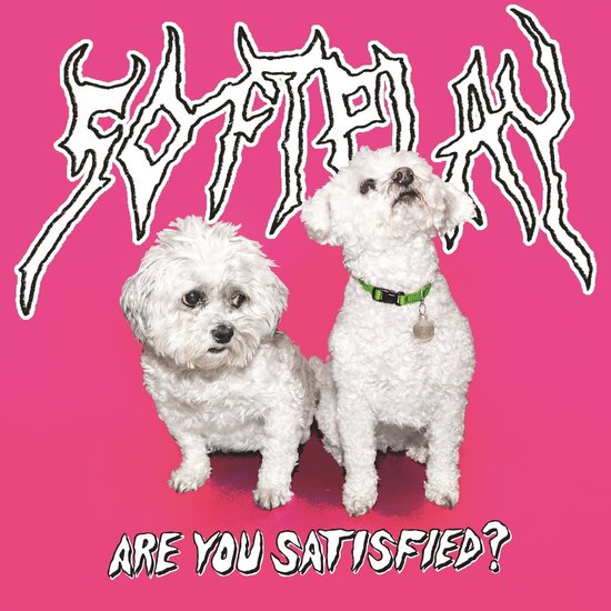Soft Play - Are You Satisfied? (10th Anniversary Edition) (Coloured Vinyl LP)