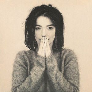 Björk - Debut