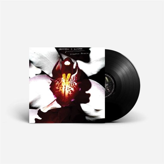 David Lynch & Chrystabell - Cellophane Memories (LP)