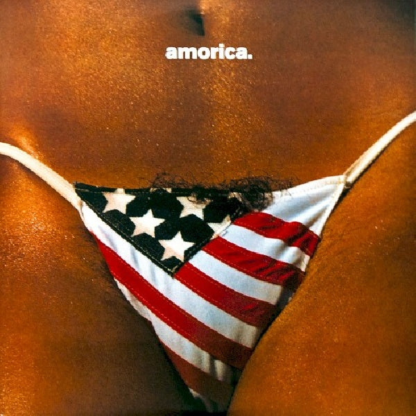Black Crowes - Amorica (LP)
