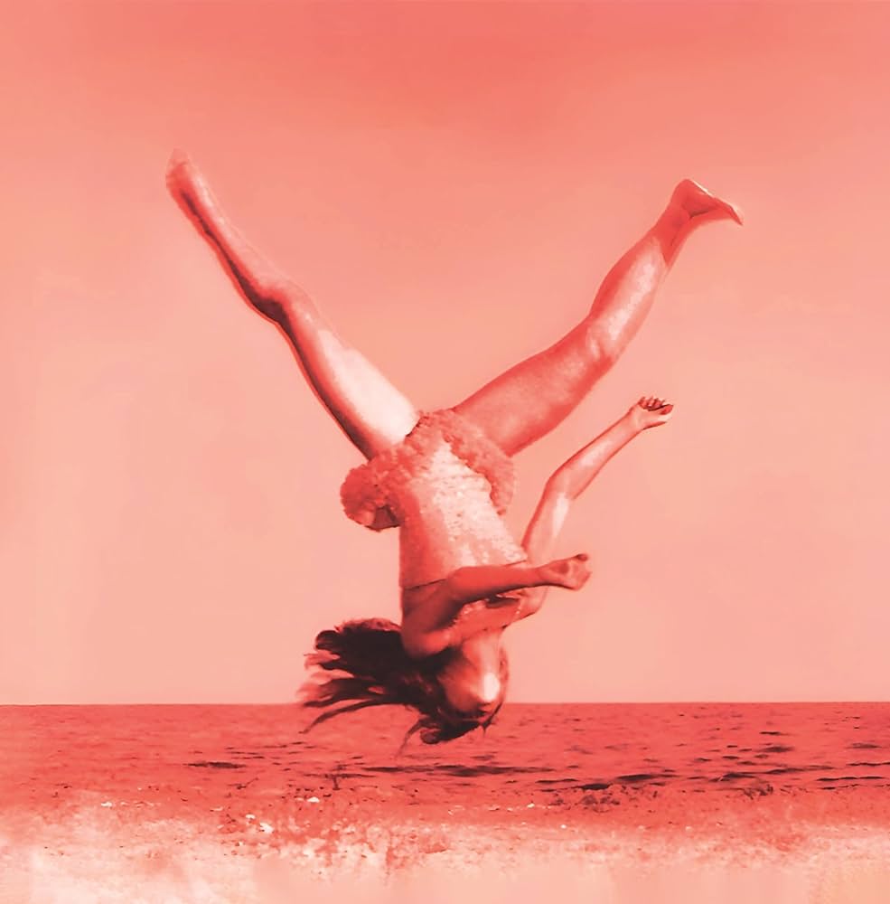 Vertical Horizon - Everything You Want (25th Anniversary) (LP)