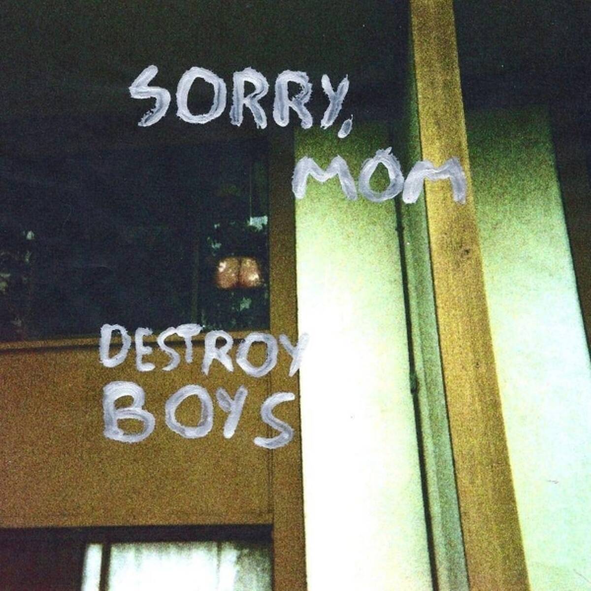 Destroy Boys - Sorry Mom (LP)