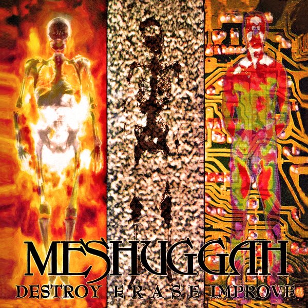 Meshuggah - Destroy Erase Improve (Grey Vinyl LP)