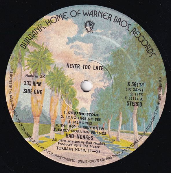 USED - Rab Noakes - Never Too Late