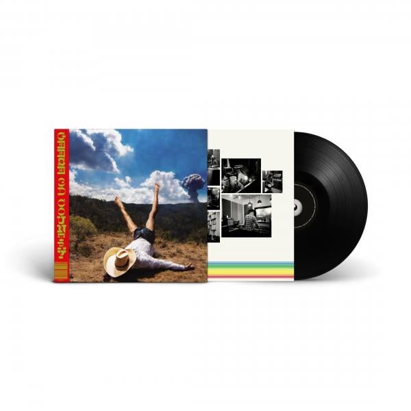 Geese - 3D Country (LP)