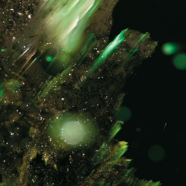 Abraham - IDSUNGWUSSA (LP)