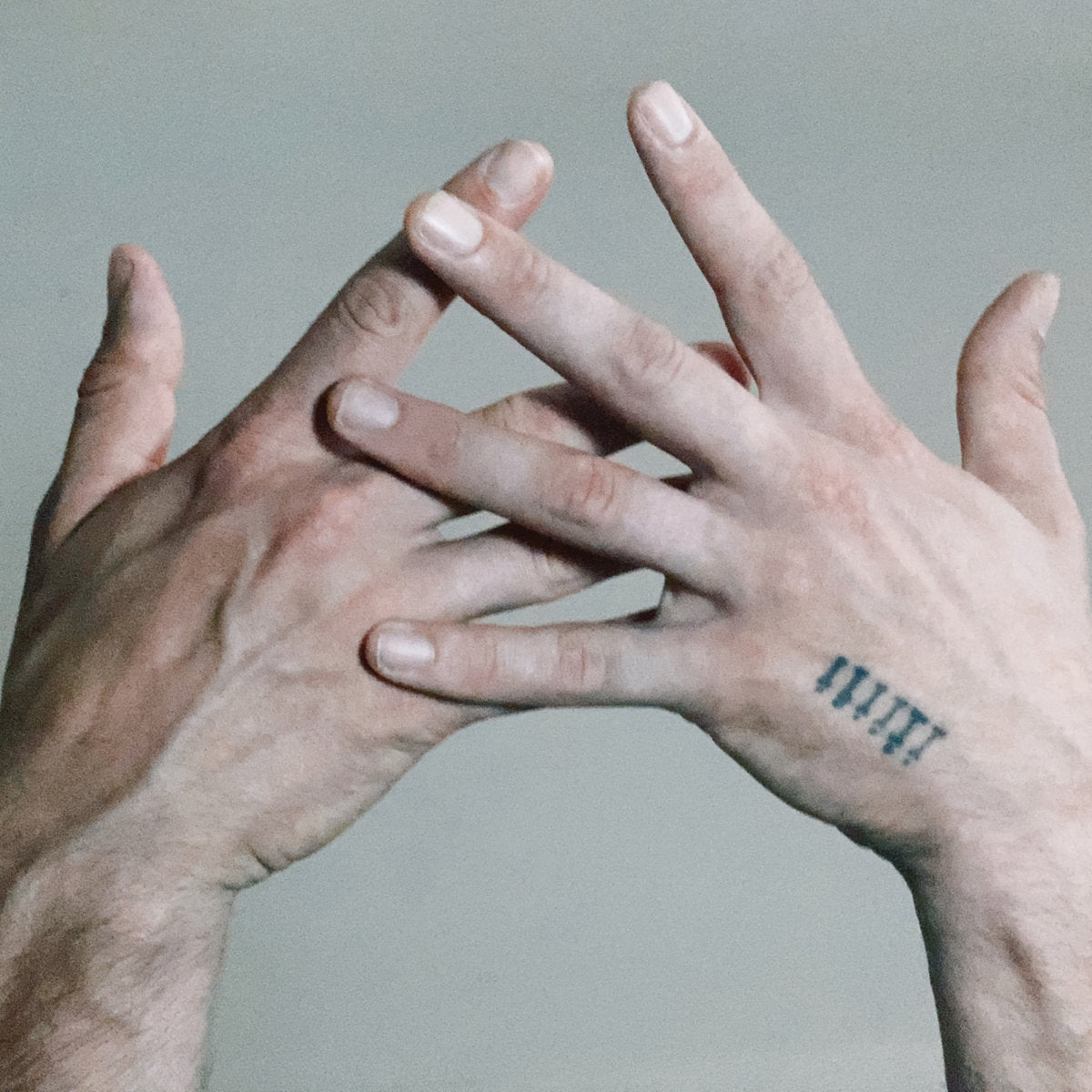 Alabaster Deplume - A Blade Because a Blade is Whole (LP)