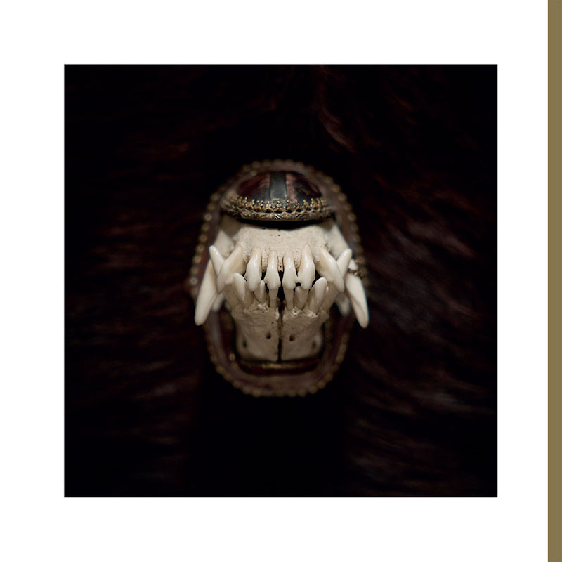 Amenra - De Toorn (Copper Nugget Coloured 12")