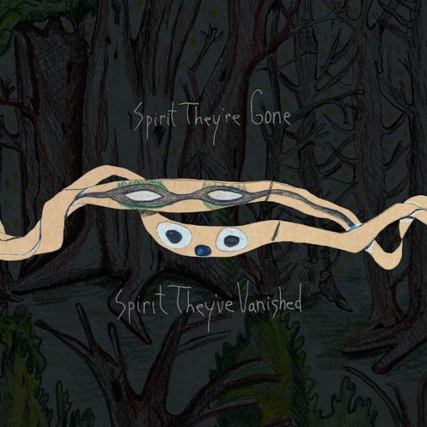 Animal Collective - Spirit They're Gone, Spirit They've Vanished (Green LP)