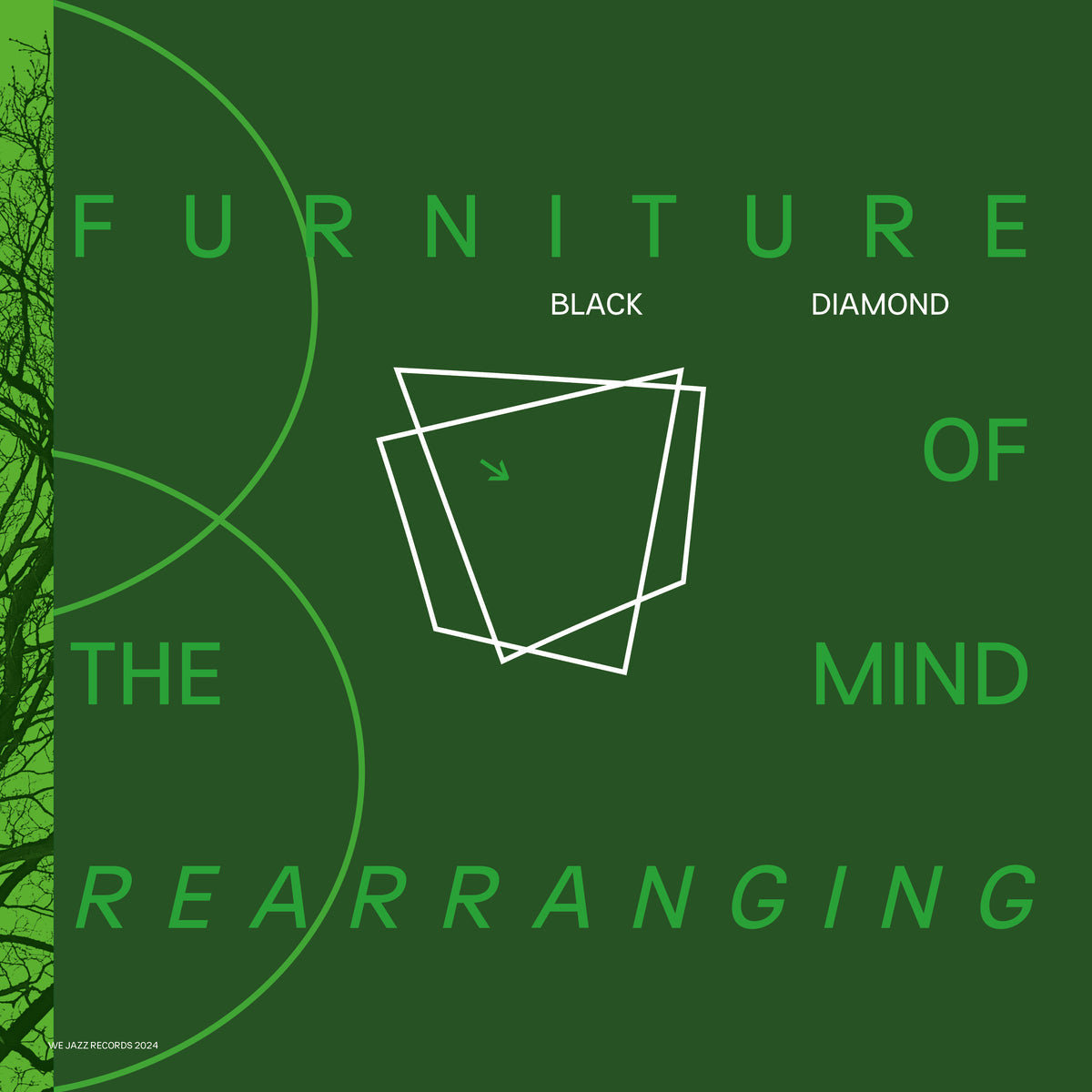 Black Diamond - Furniture of the Mind Rearranging (LP)