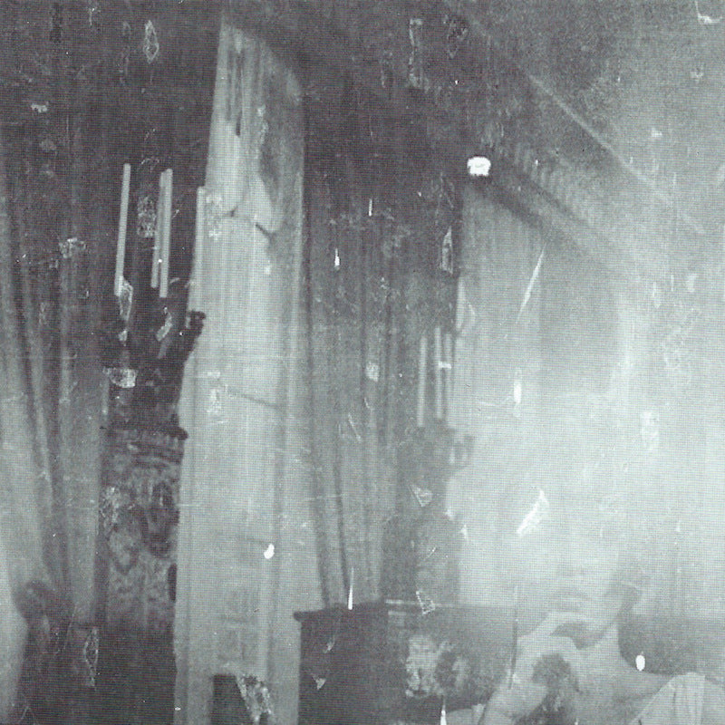 Belong - Common Era (LP)
