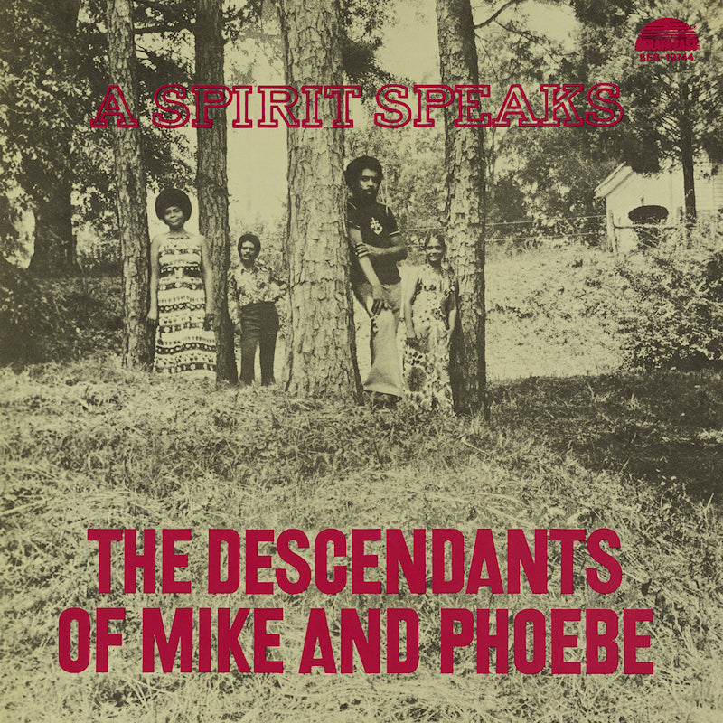 Bill Lee - The Descendants Of Mike And Phoebe - A Spirit Speaks (LP)